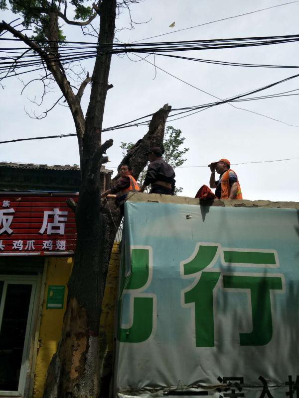 向工街道新项目重塑城市风貌，推动社区发展进程启动