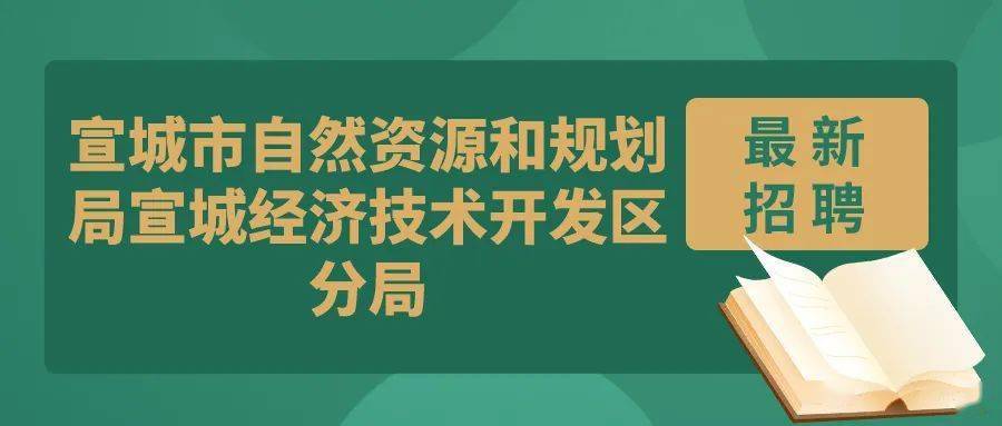 新林区自然资源和规划局招聘启事概览