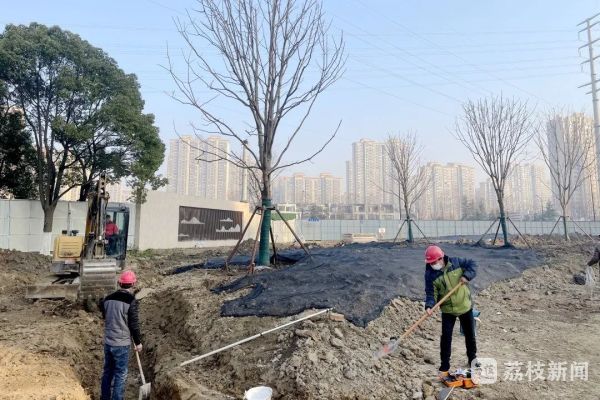 镇江市园林管理局重塑城市绿色生态的最新项目启动