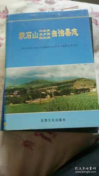 积石山文化局发展规划展望，聚焦保安族、东乡族与撒拉族文化融合与创新