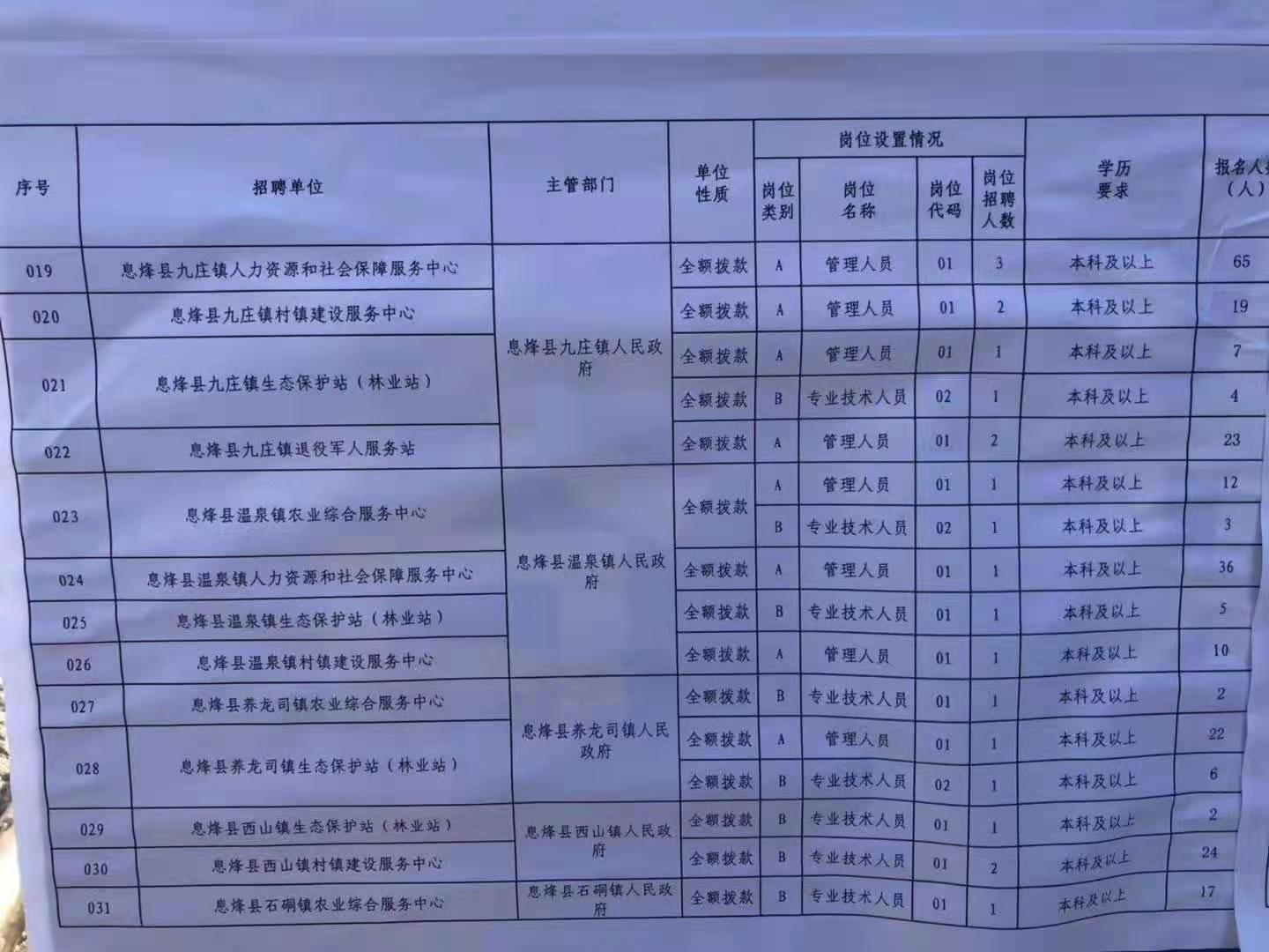 城中区数据和政务服务局最新招聘信息及相关解读