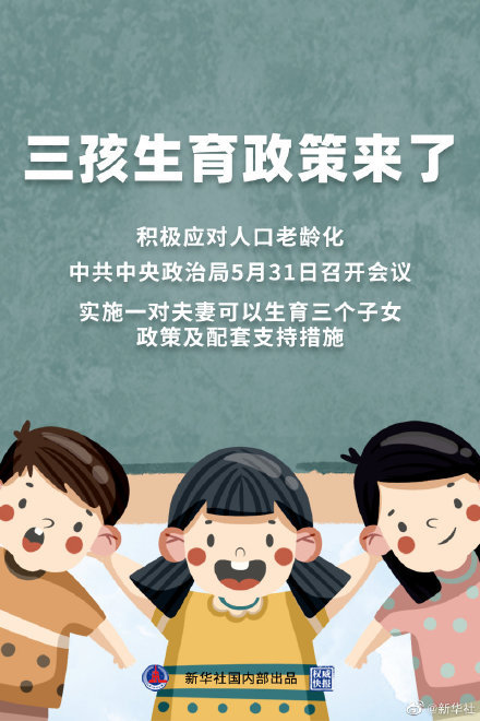 掌政镇最新招聘信息详解及解析